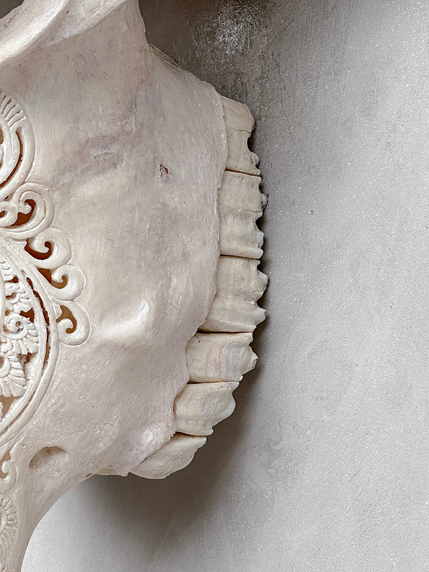Caved Waterbuffalo Skulls with Big lotus Carving Skull,A/188