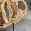 A Beautiful Slice of Petrified Palm Root on stand  PetW/157