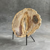 A Beautiful Slice of Petrified Palm Root on stand  PetW/157