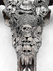 Caved Waterbuffalo Skulls with Skull And Octopus Carving Skull,A/180