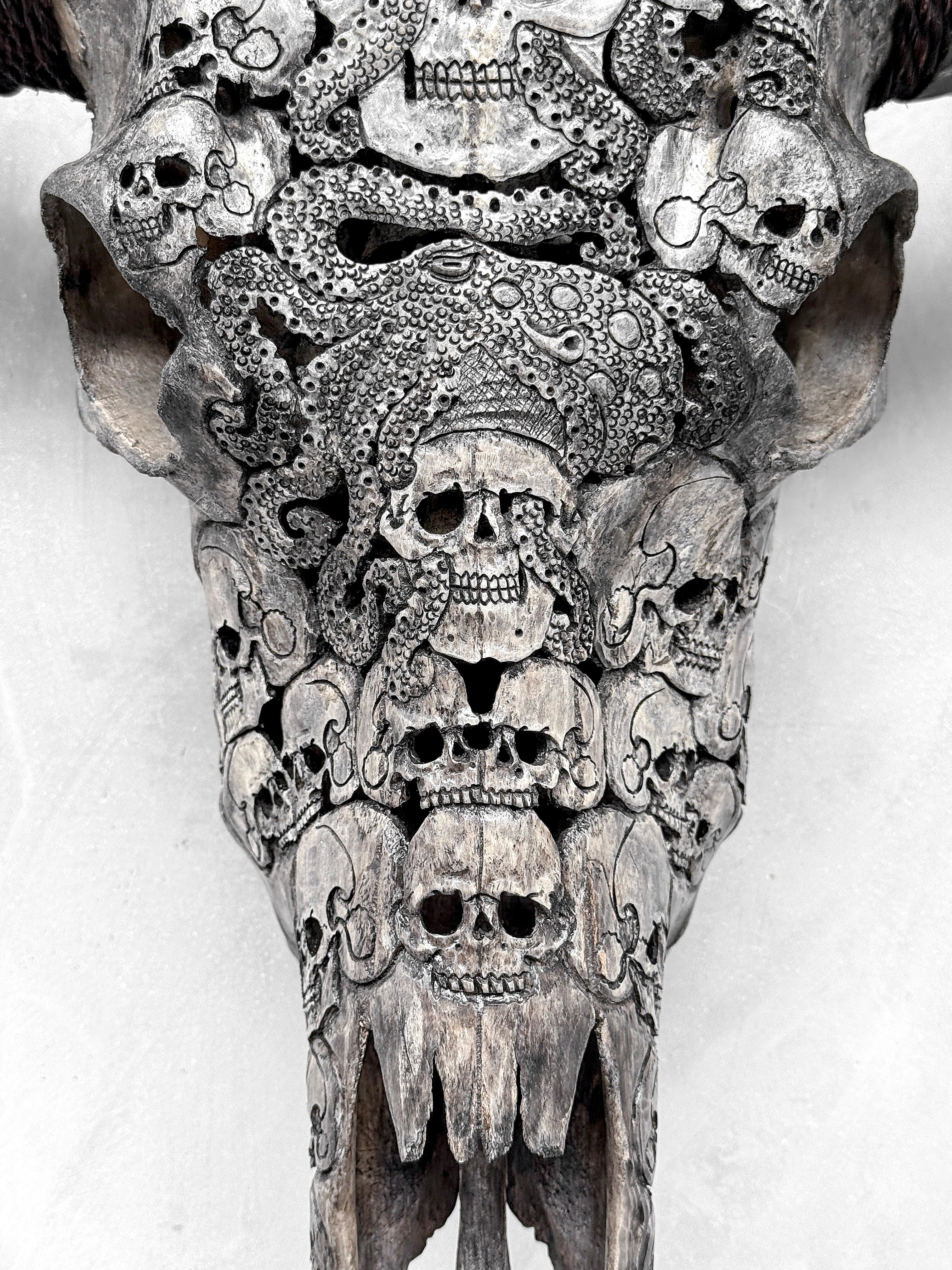 Caved Waterbuffalo Skulls with Skull And Octopus Carving Skull,A/180