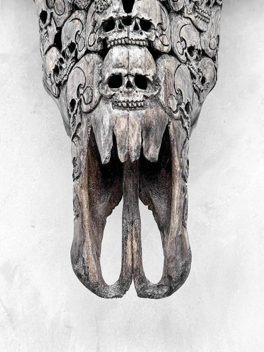 Caved Waterbuffalo Skulls with Skull And Octopus Carving Skull,A/180