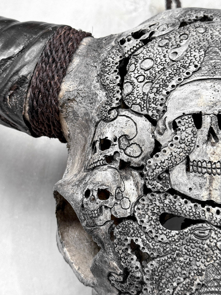 Caved Waterbuffalo Skulls with Skull And Octopus Carving Skull,A/180