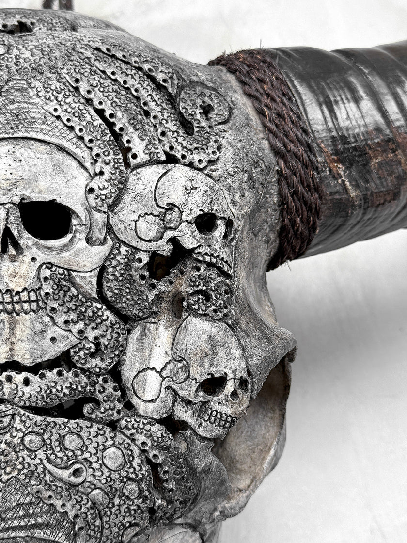Caved Waterbuffalo Skulls with Skull And Octopus Carving Skull,A/180