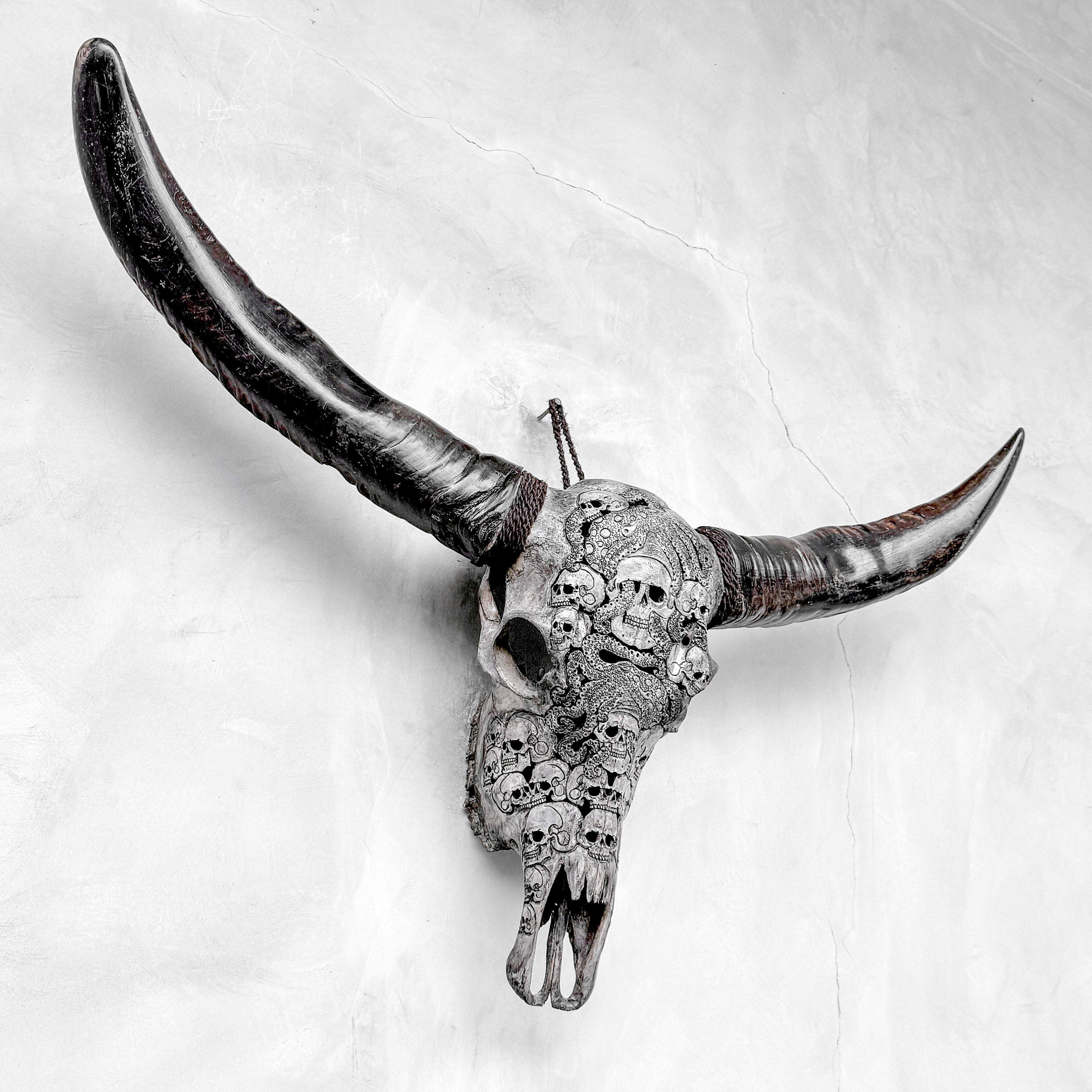 Caved Waterbuffalo Skulls with Skull And Octopus Carving Skull,A/180