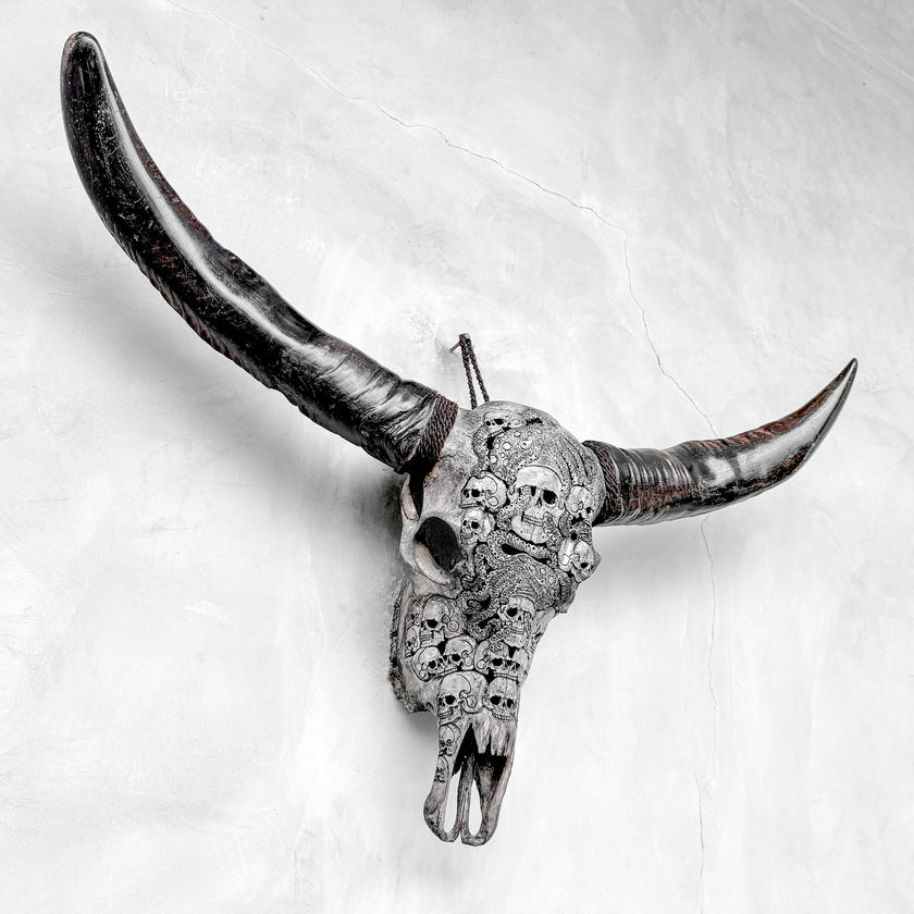 Caved Waterbuffalo Skulls with Skull And Octopus Carving Skull,A/180
