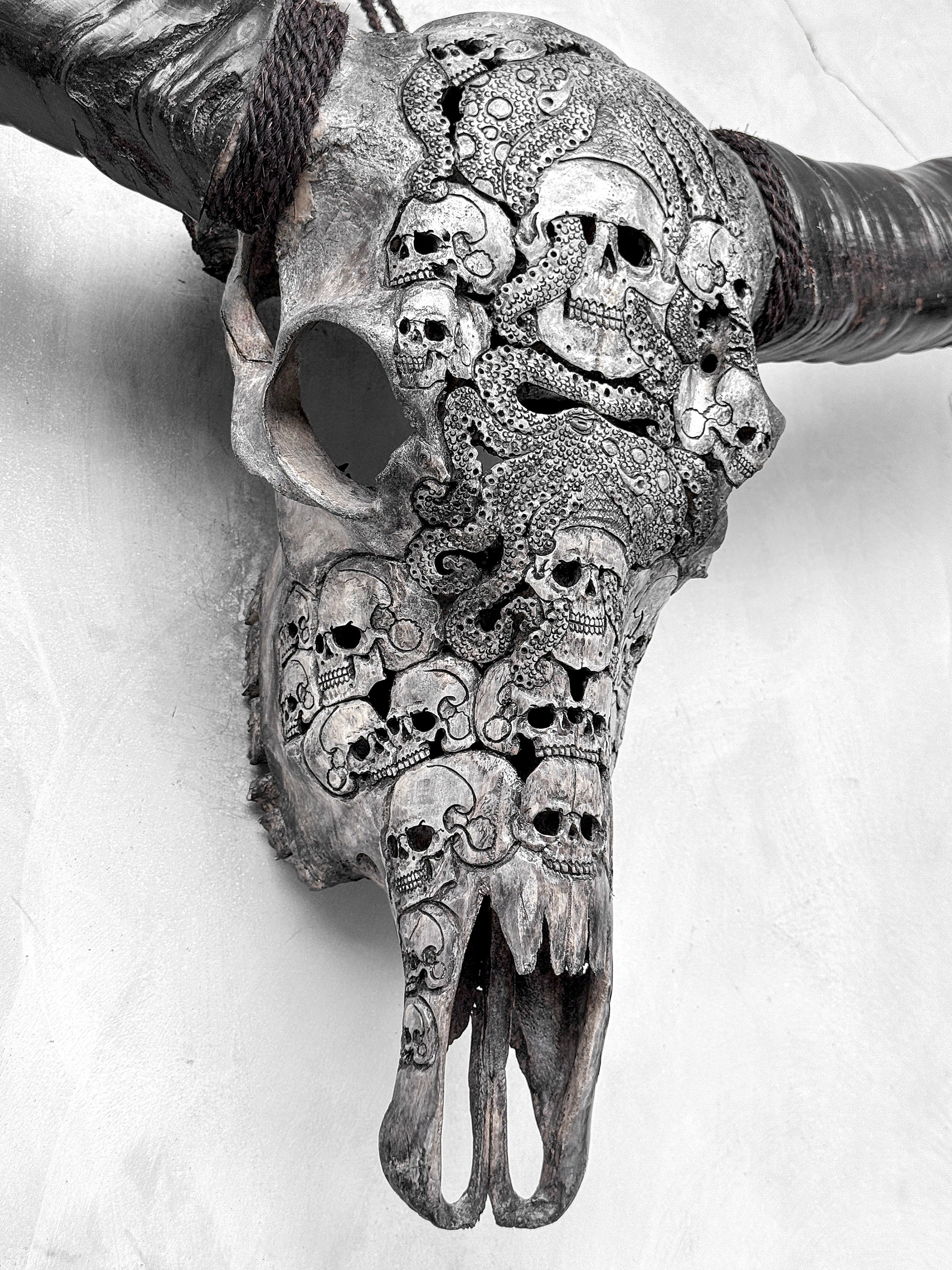 Caved Waterbuffalo Skulls with Skull And Octopus Carving Skull,A/180
