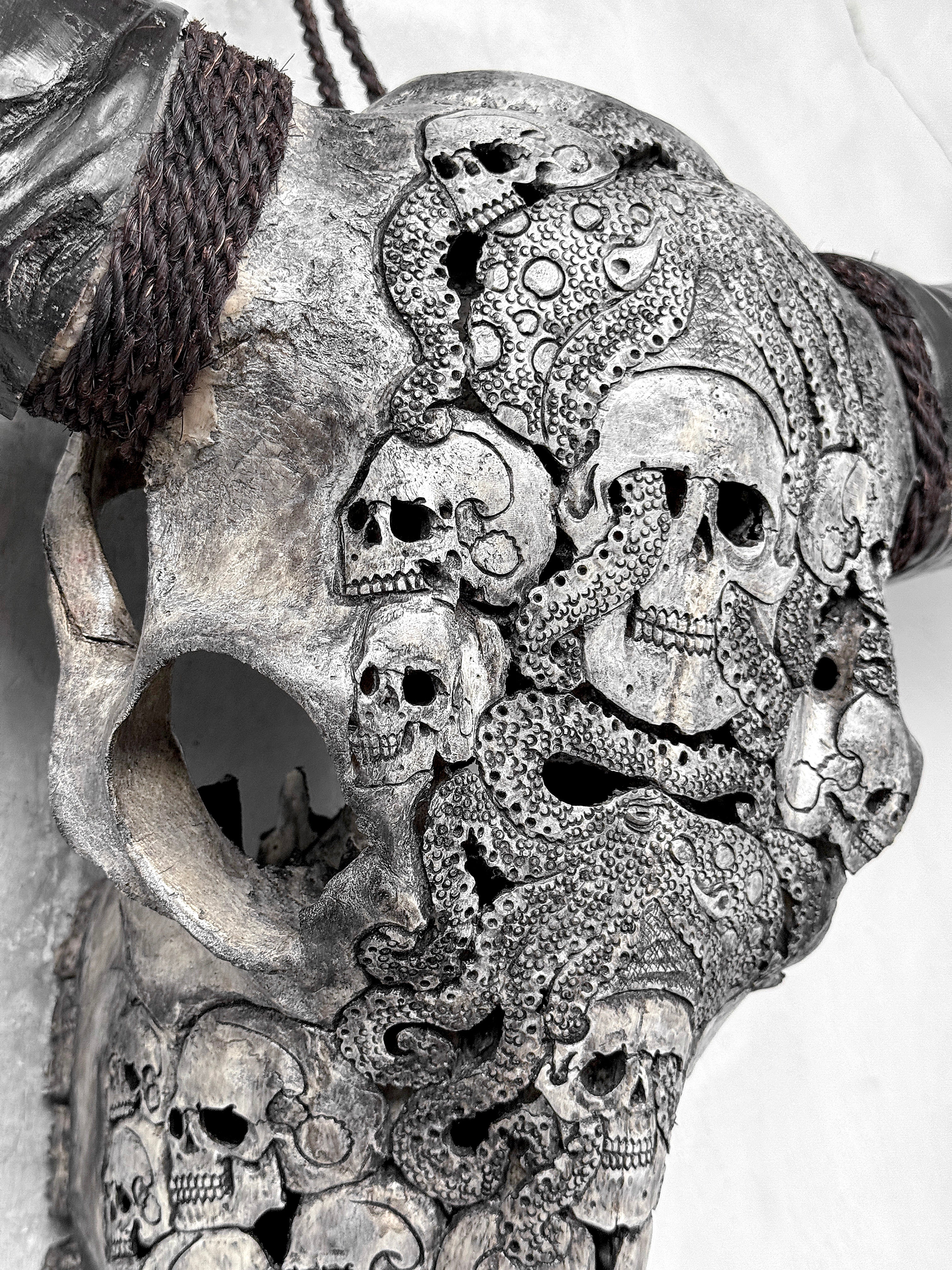 Caved Waterbuffalo Skulls with Skull And Octopus Carving Skull,A/180