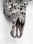 Caved Waterbuffalo Skulls with Skull And Octopus Carving Skull,A/180