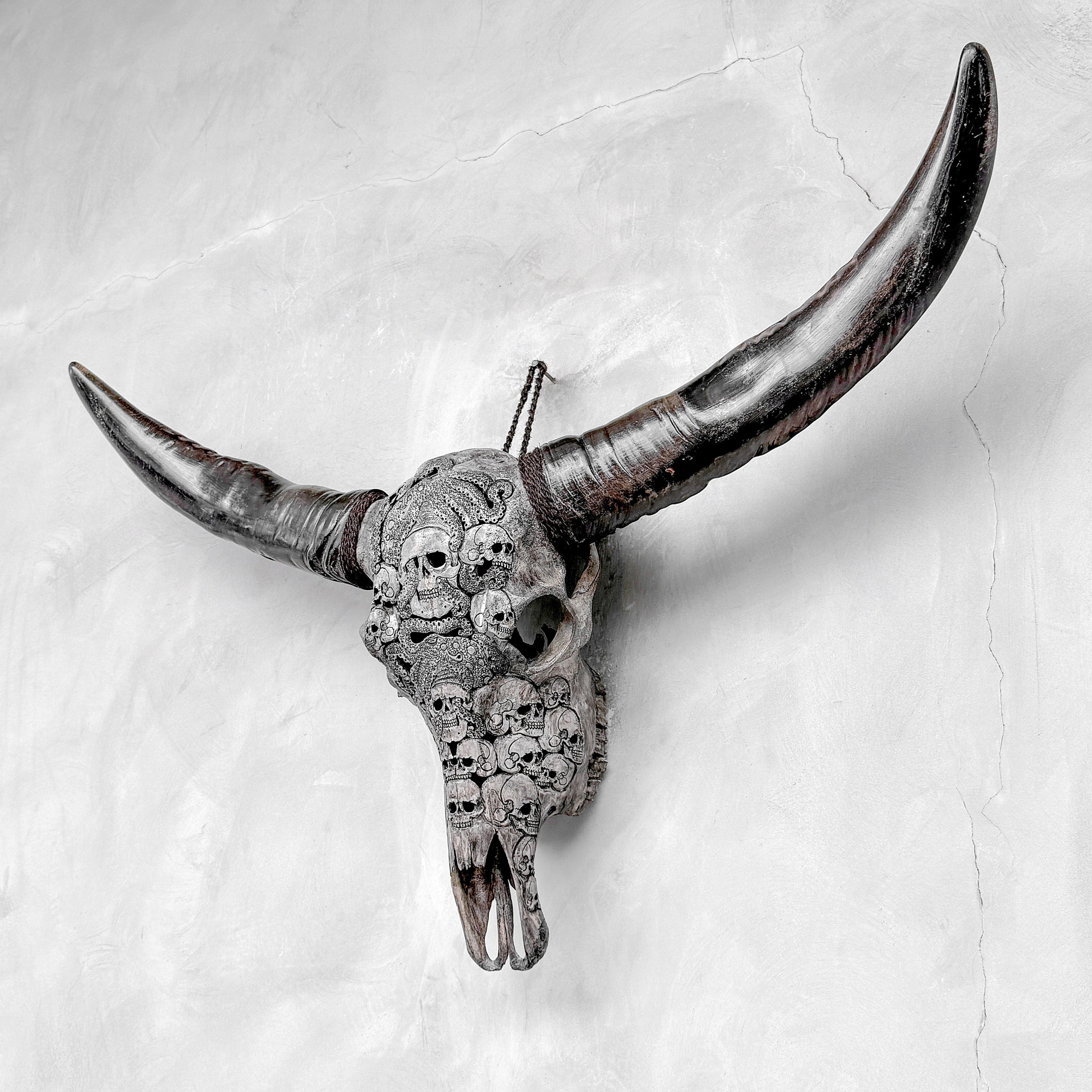 Caved Waterbuffalo Skulls with Skull And Octopus Carving Skull,A/180