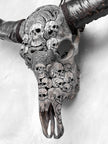Caved Waterbuffalo Skulls with Skull And Octopus Carving Skull,A/180