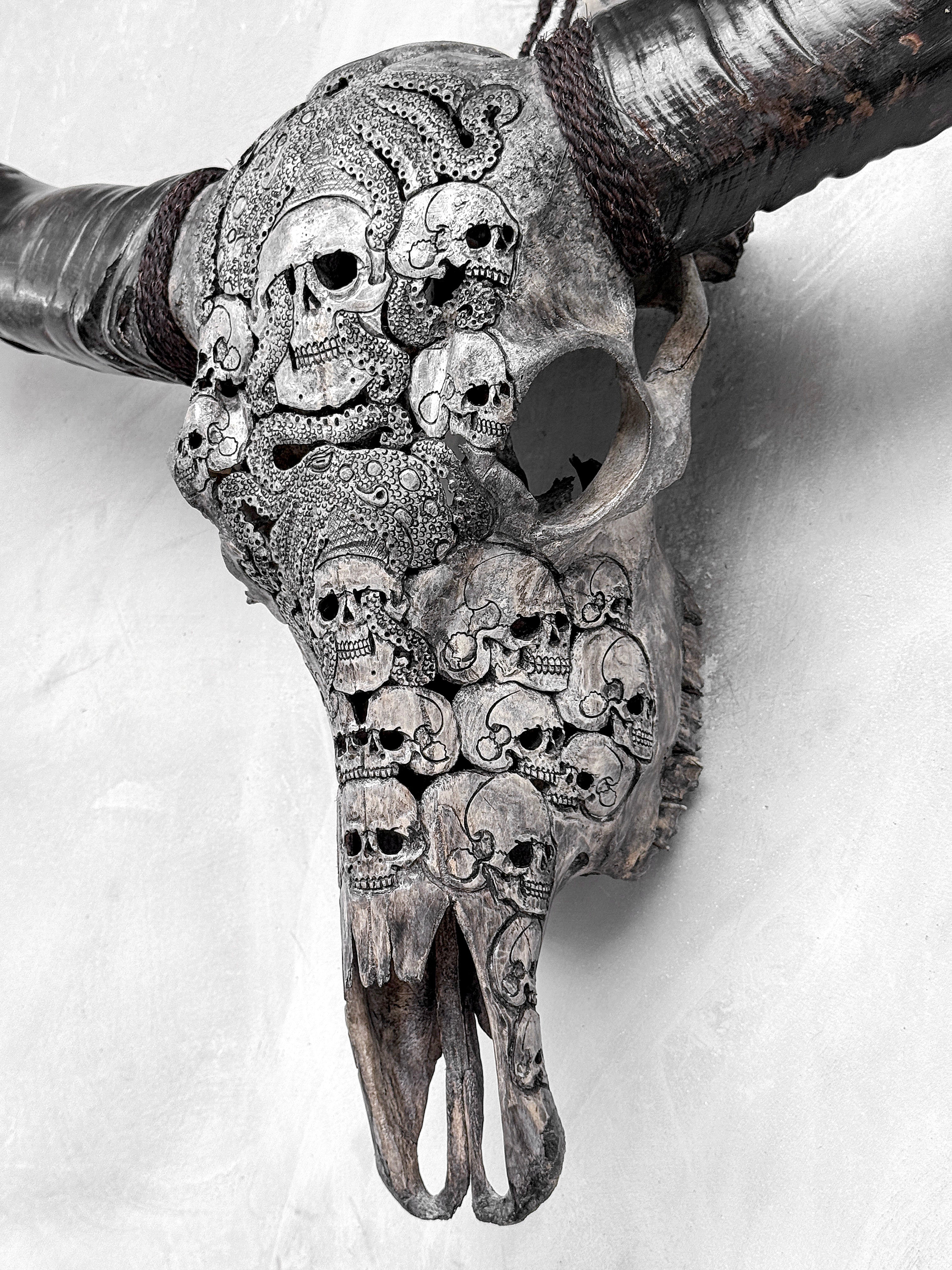 Caved Waterbuffalo Skulls with Skull And Octopus Carving Skull,A/180