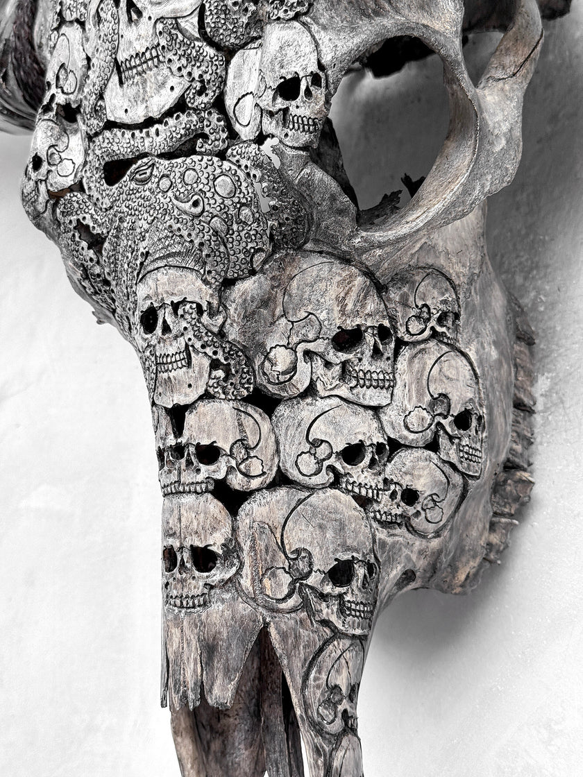 Caved Waterbuffalo Skulls with Skull And Octopus Carving Skull,A/180
