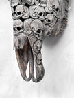 Caved Waterbuffalo Skulls with Skull And Octopus Carving Skull,A/180