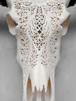 Caved Waterbuffalo Skulls with Big lotus Carving Skull,A/171