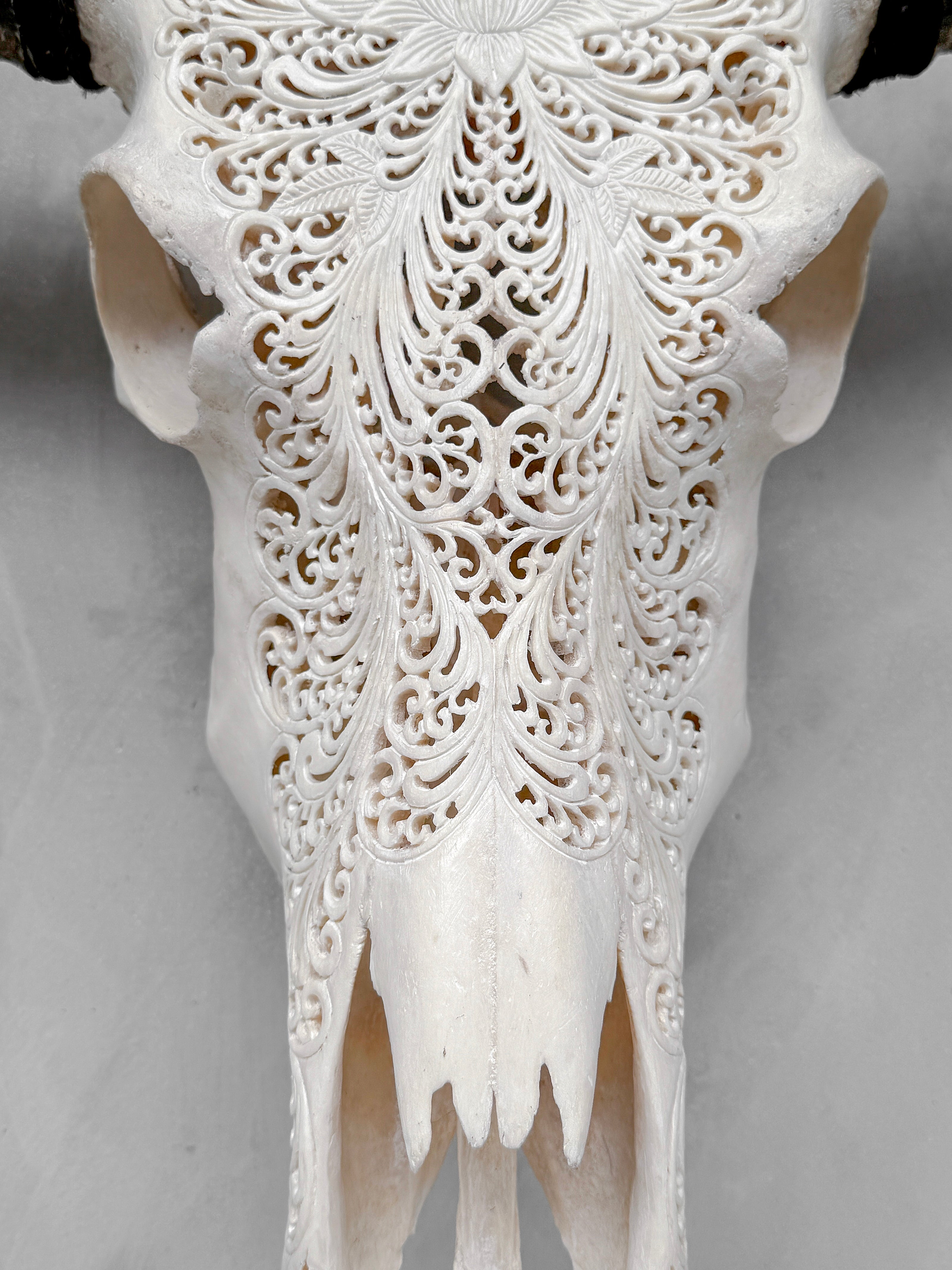 Caved Waterbuffalo Skulls with Big lotus Carving Skull,A/171
