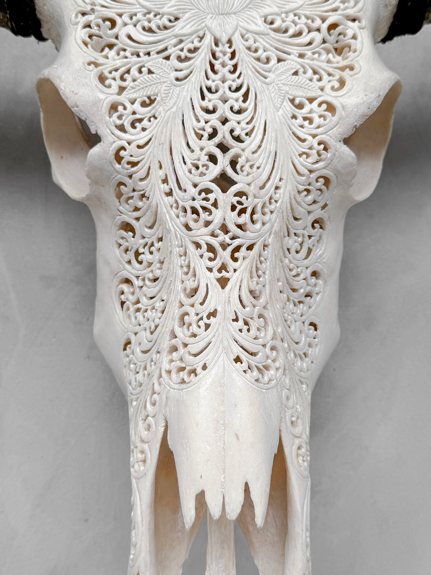 Caved Waterbuffalo Skulls with Big lotus Carving Skull,A/171