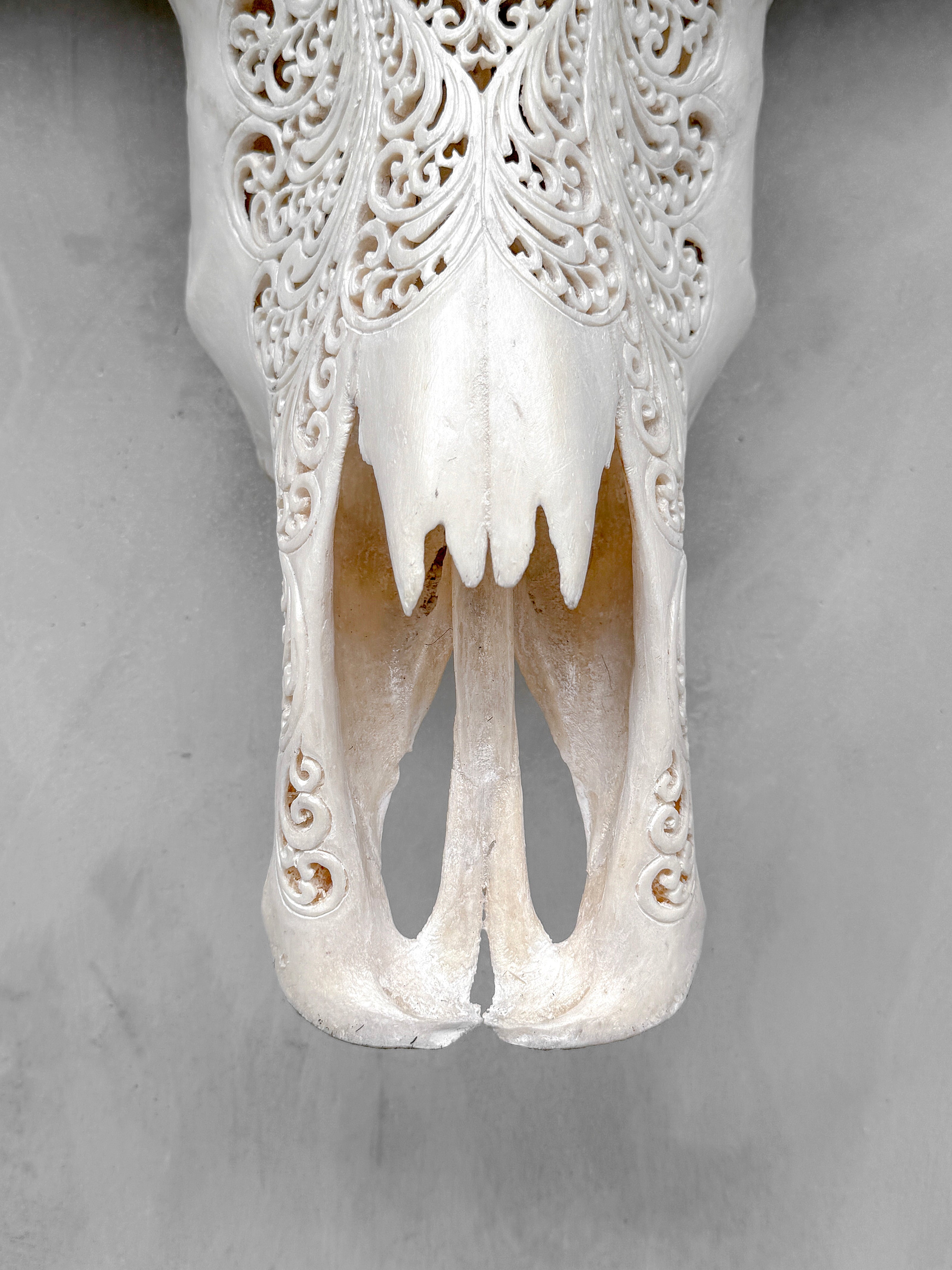 Caved Waterbuffalo Skulls with Big lotus Carving Skull,A/171