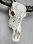 Caved Waterbuffalo Skulls with Big lotus Carving Skull,A/171