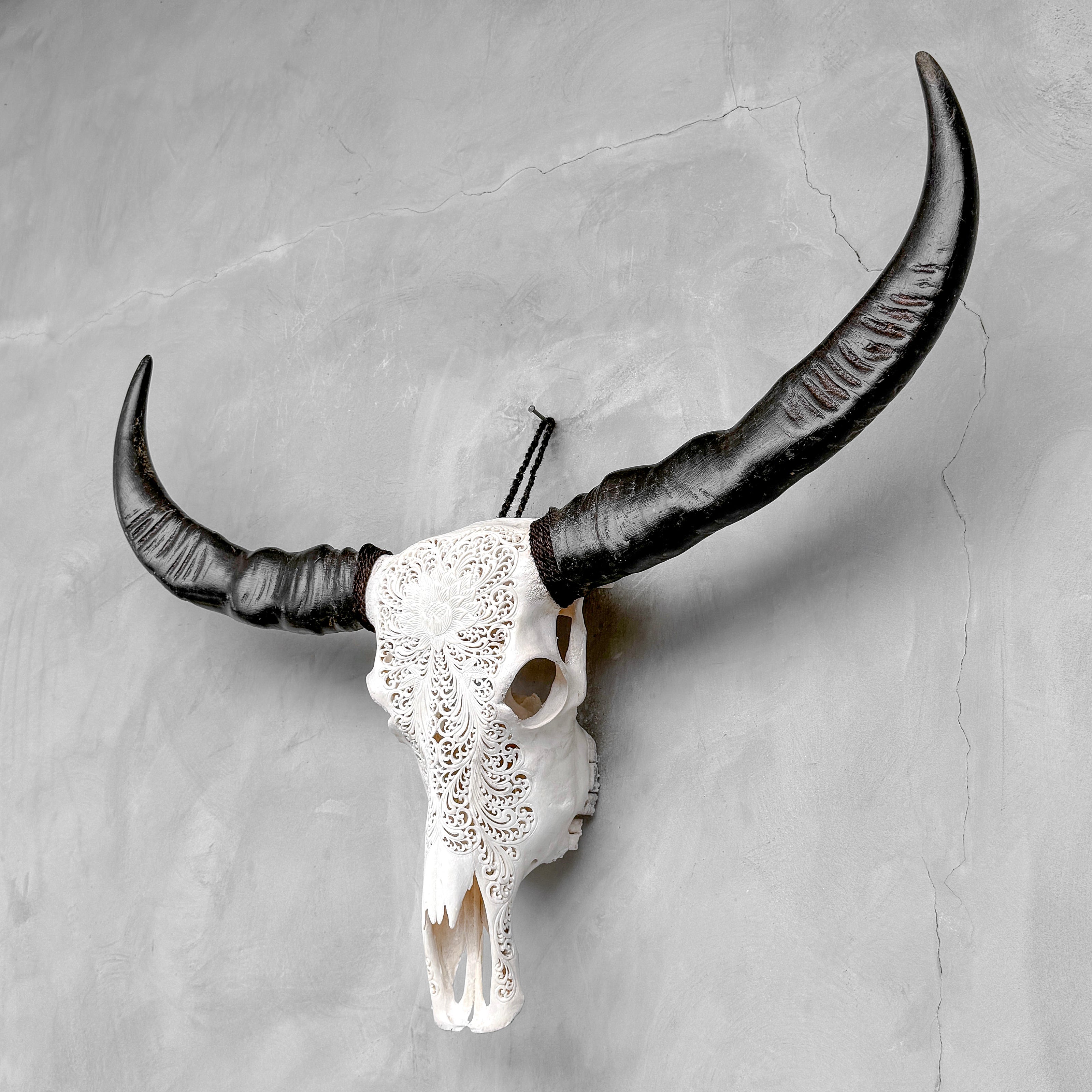 Caved Waterbuffalo Skulls with Big lotus Carving Skull,A/171