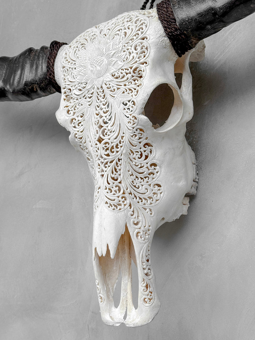 Caved Waterbuffalo Skulls with Big lotus Carving Skull,A/171