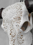 Caved Waterbuffalo Skulls with Big lotus Carving Skull,A/171