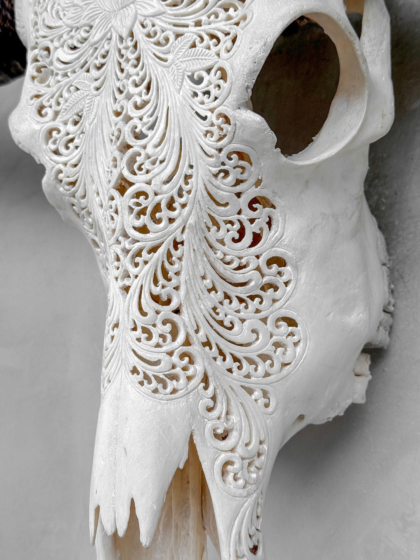 Caved Waterbuffalo Skulls with Big lotus Carving Skull,A/171