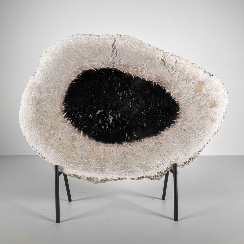 A Beautiful Slice of Petrified Palm Root on stand  PetW/045