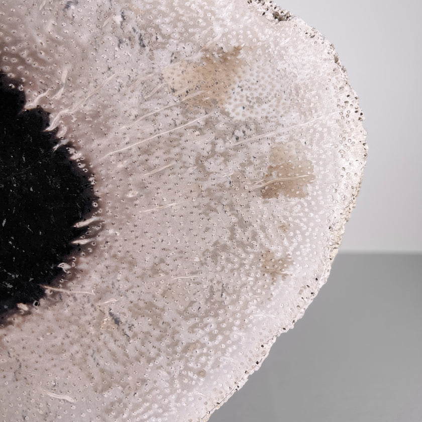 A Beautiful Slice of Petrified Palm Root on stand  PetW/045