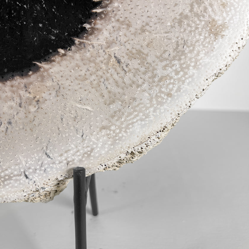 A Beautiful Slice of Petrified Palm Root on stand  PetW/045