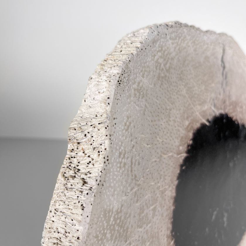 A Beautiful Slice of Petrified Palm Root on stand  PetW/045