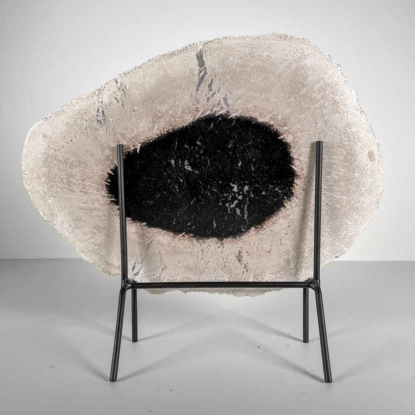 A Beautiful Slice of Petrified Palm Root on stand  PetW/045