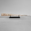 Carved Tusks 22/EX/516 Carving Dragon phoenix