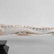 Carved Tusks 22/EX/516 Carving Dragon phoenix