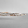 Carved Tusks 22/EX/516 Carving Dragon phoenix
