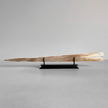 Carved Tusks 22/EX/516 Carving Dragon phoenix