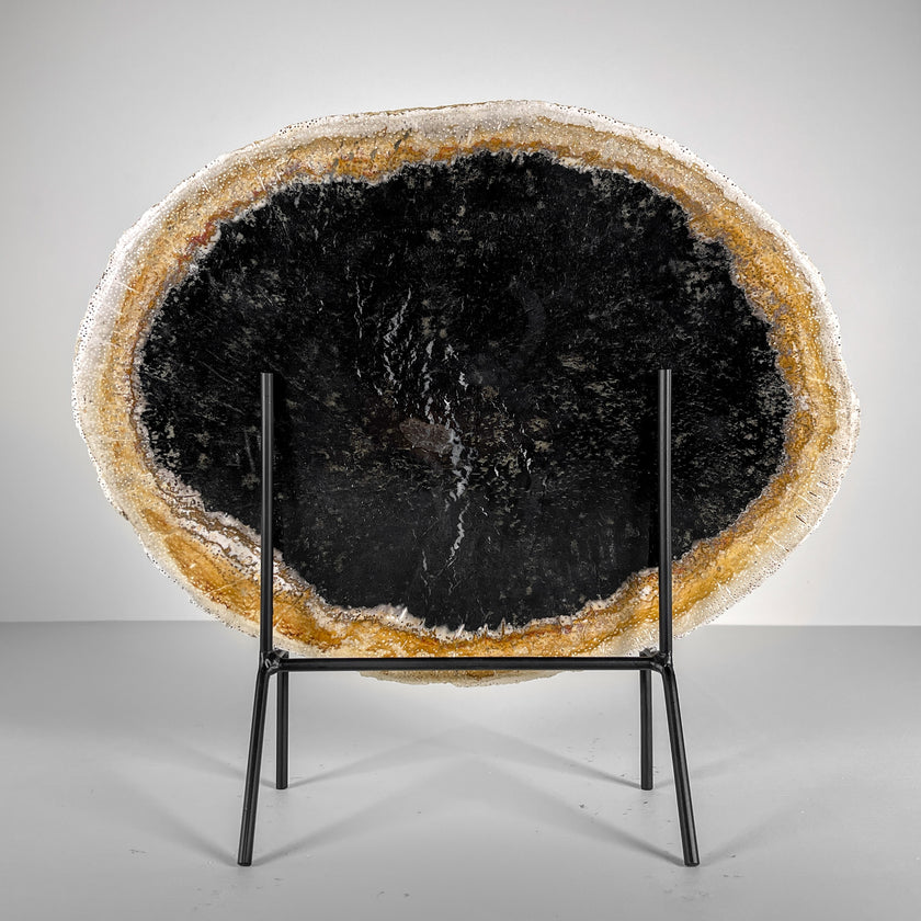 A Beautiful Slice of Petrified Palm Root on stand  PetW/051