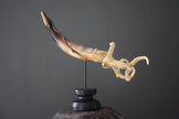 A Stunning Hand Carved Octopus With Horn on a Stand - 22/EX/380