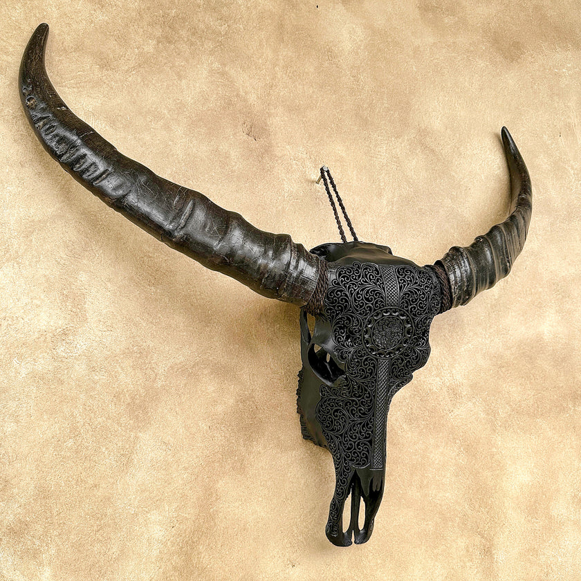 Caved Waterbuffalo Skulls with Flower Mandala Garis Carving Skull,A/167