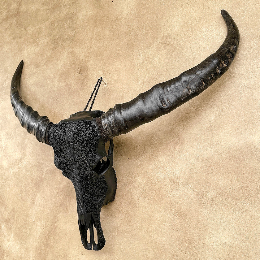 Caved Waterbuffalo Skulls with Flower Mandala Garis Carving Skull,A/167