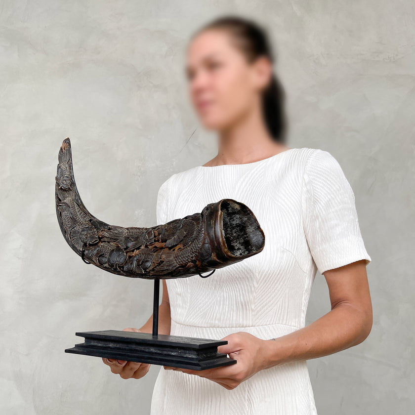 Carved Horns  23/EX/323