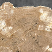 Beautiful Slice of Petrified Wood on stand - H5/174