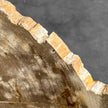 Beautiful Slice of Petrified Wood on stand - H5/174