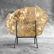 Beautiful Slice of Petrified Wood on stand - H5/174