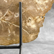Beautiful Slice of Petrified Wood on stand - H5/174
