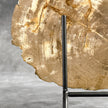 Beautiful Slice of Petrified Wood on stand - H5/174
