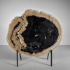 A Beautiful Slice of Petrified Palm Root on stand  PetW/054