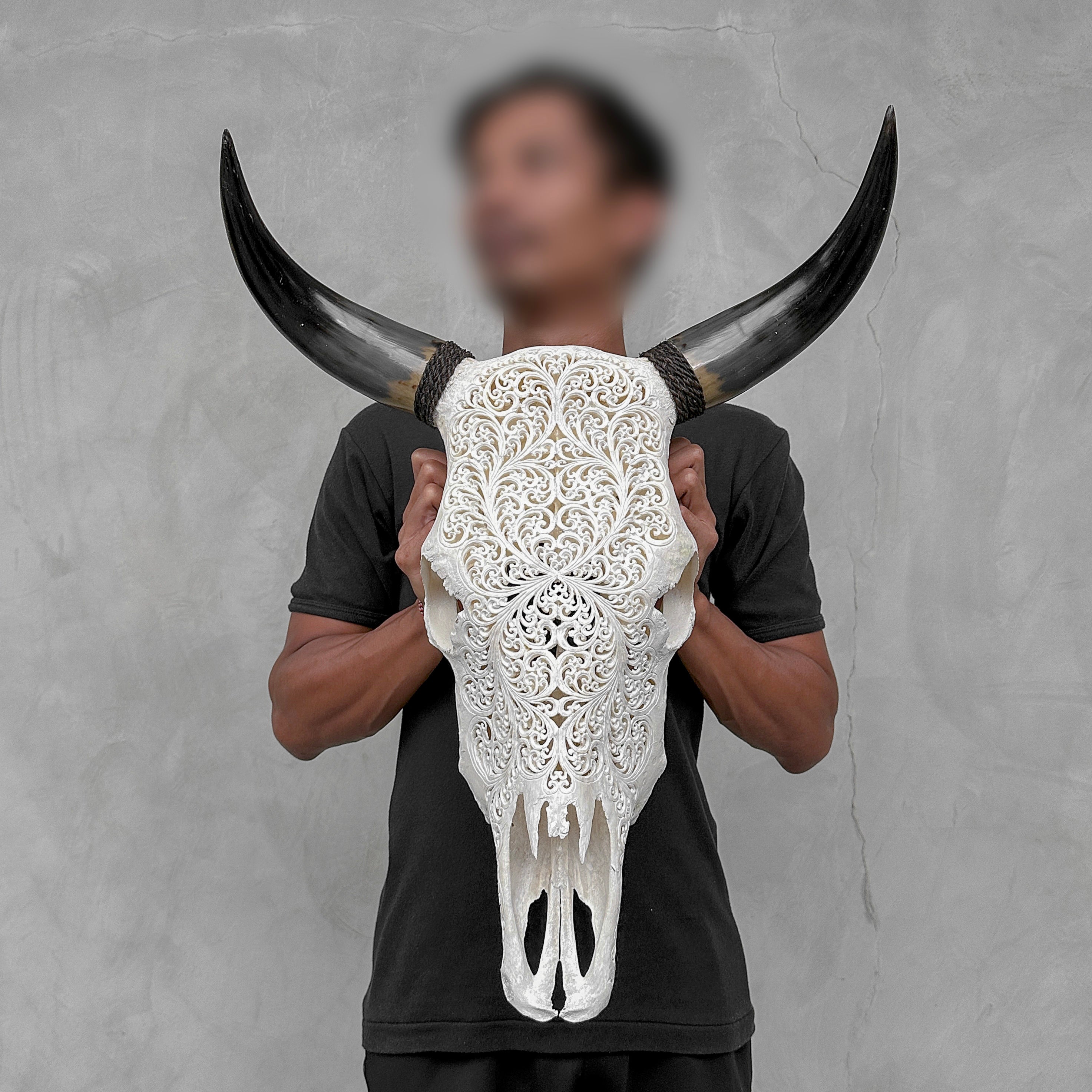 Bull Skull Carved Fern - Skull,A/151
