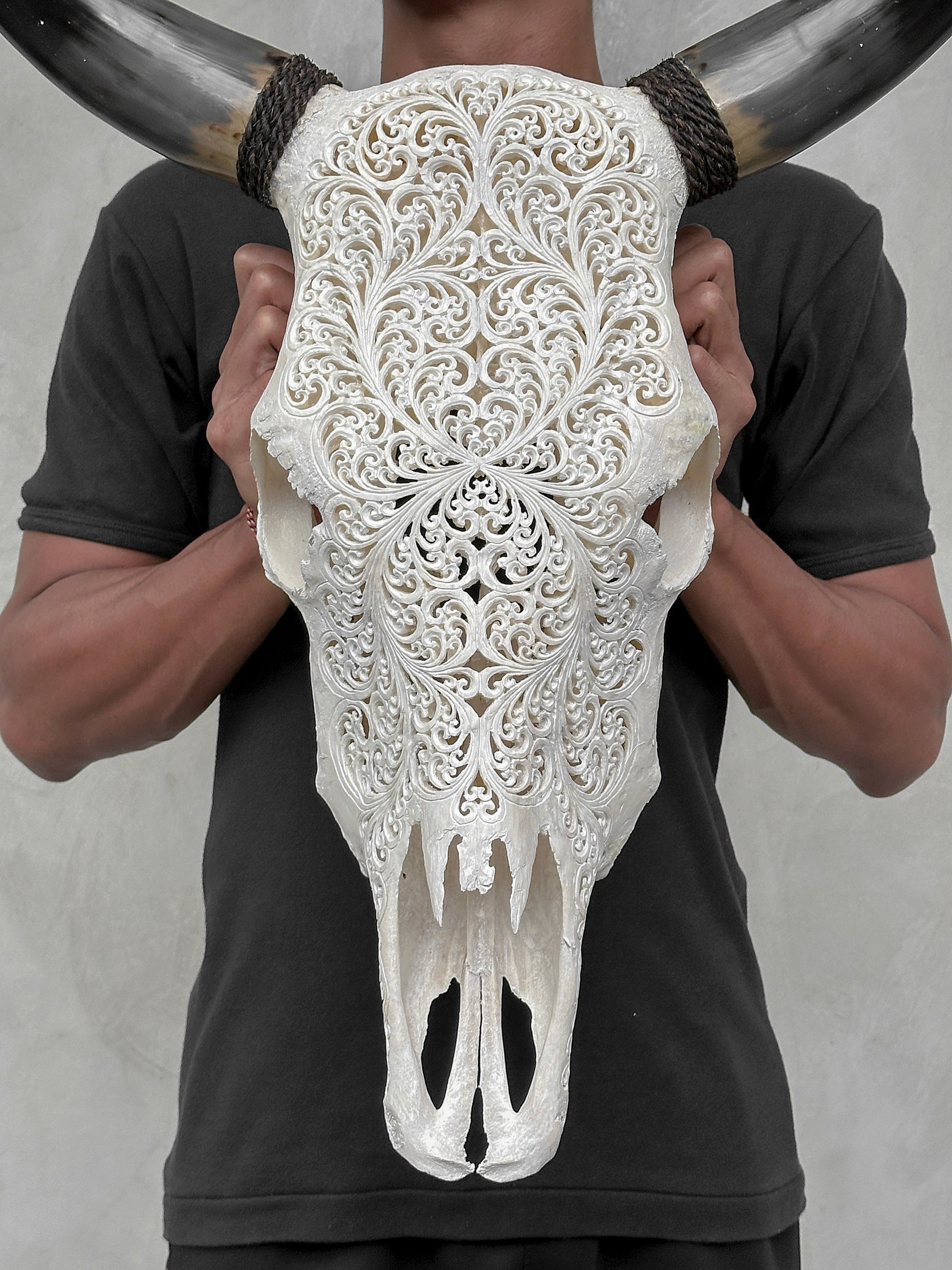 Bull Skull Carved Fern - Skull,A/151