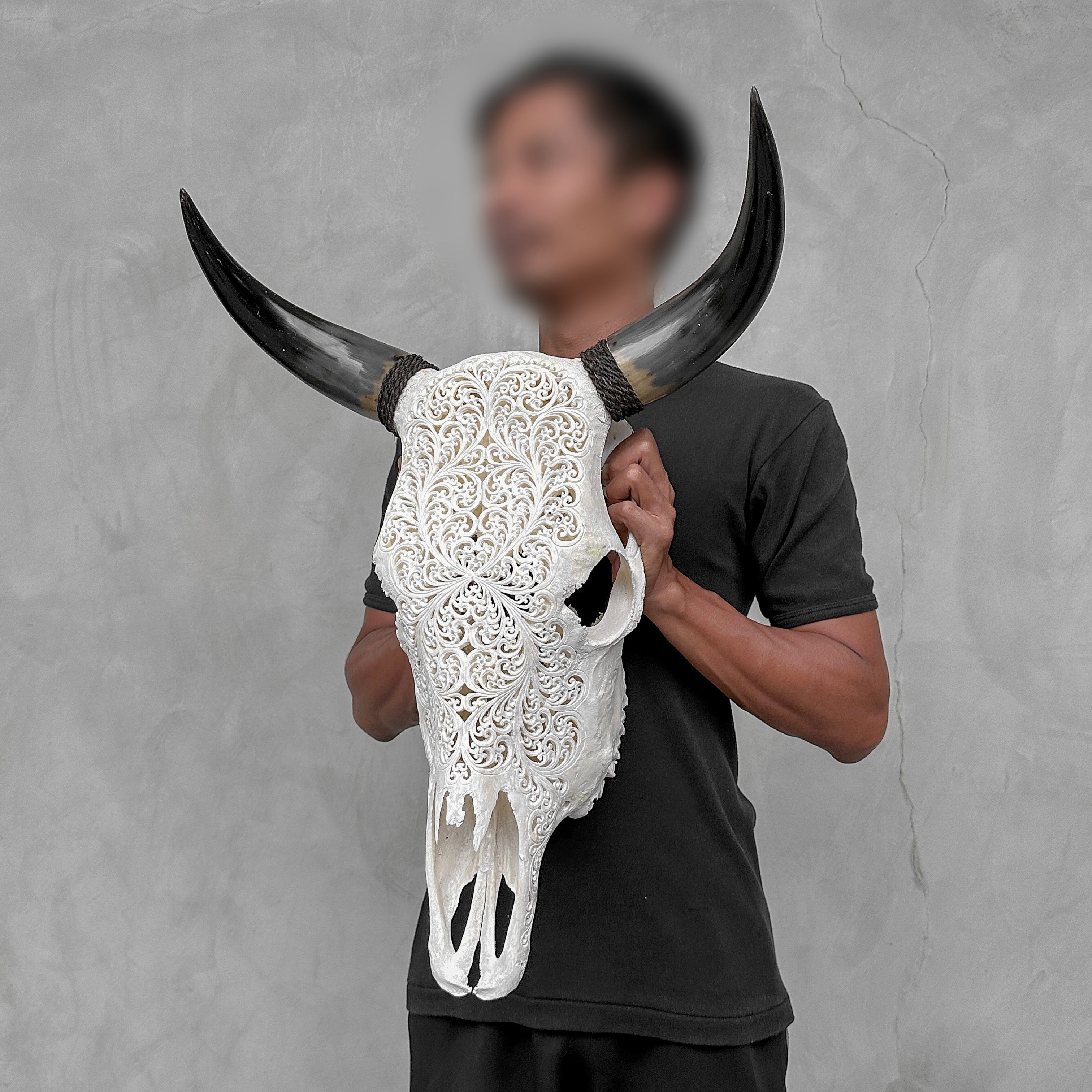 Bull Skull Carved Fern - Skull,A/151
